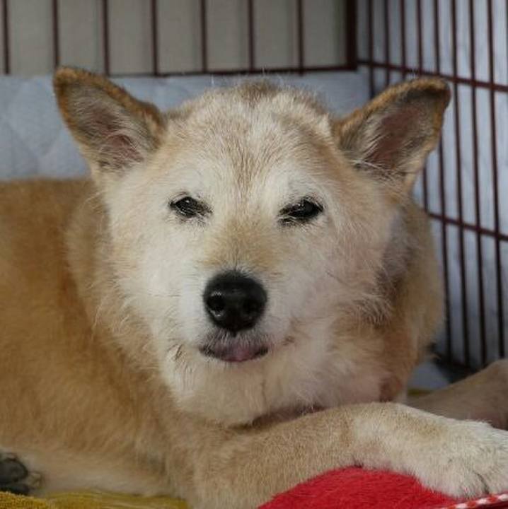 56cf7d0b 2cda 4c93 bf85 fba30e856d4d