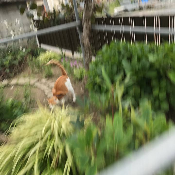 56cfa7e6 4b7b 446a a8ed 031be1de2e19