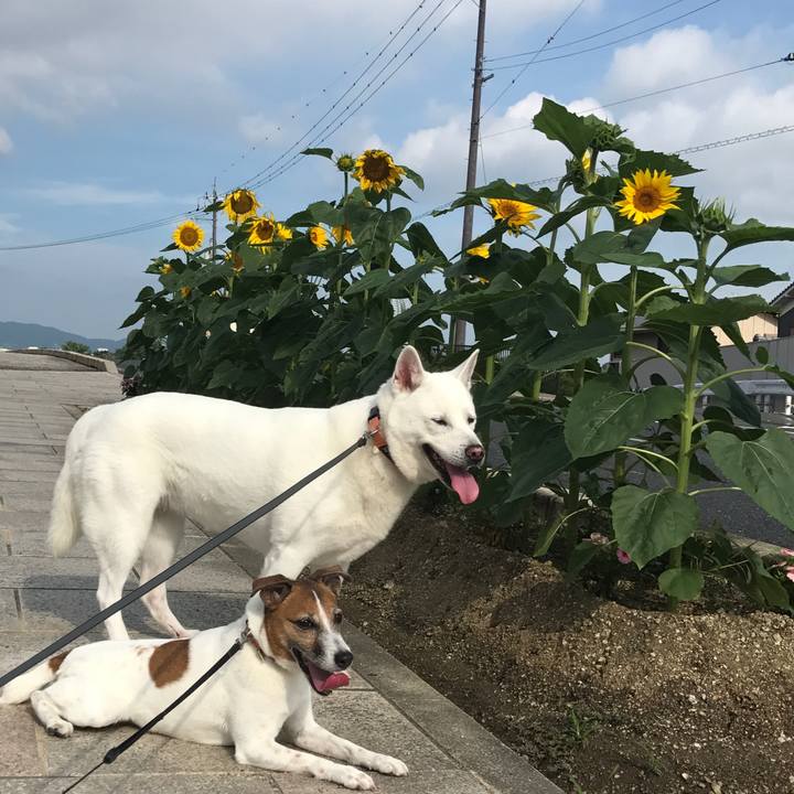 56cfe629 1e4d 482f 973c 850a3717de0e