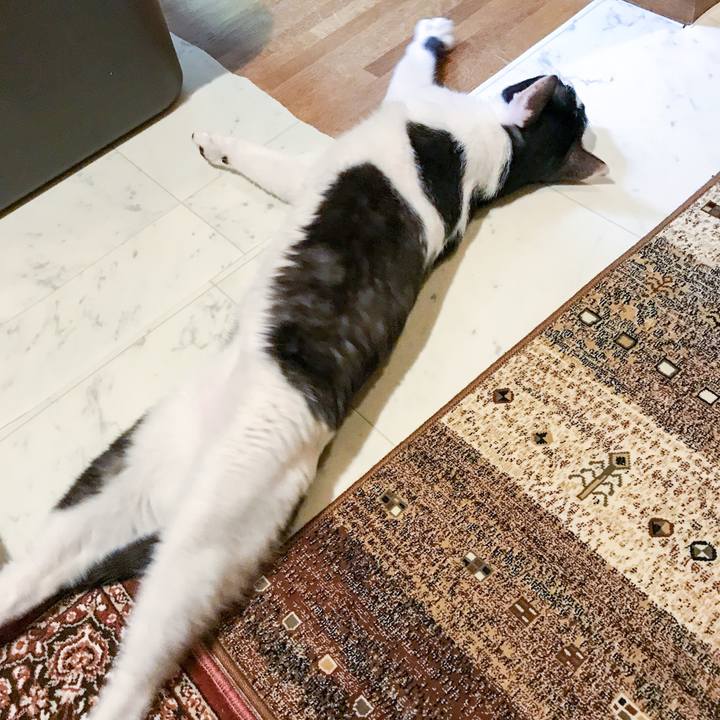 56cfff9f 3d1a 4cde 89a6 35071112e80a