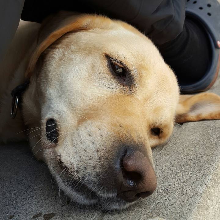 56d06702 d734 4107 84e7 a5ec39799f2a