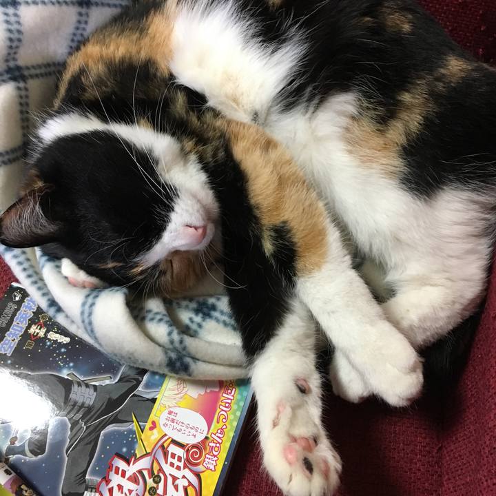 56d0a621 9702 4f67 b08e eb29fe666cf3