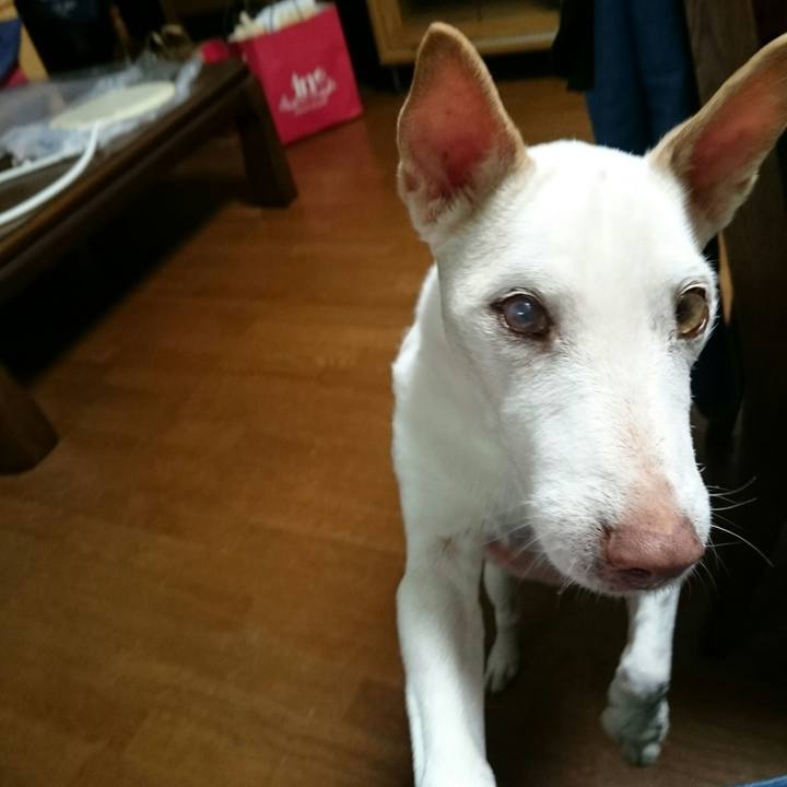 56d266b9 26bb 43f3 8a84 3c3971b95294