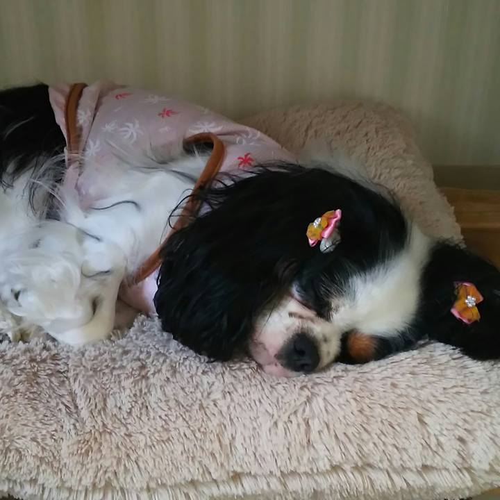 56d2745f 6ea9 40f7 bd7b 14d686b05e10