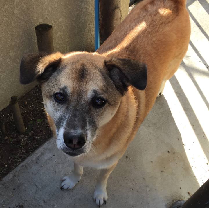 56d287d4 4752 4bfa b233 4617881c2ca4