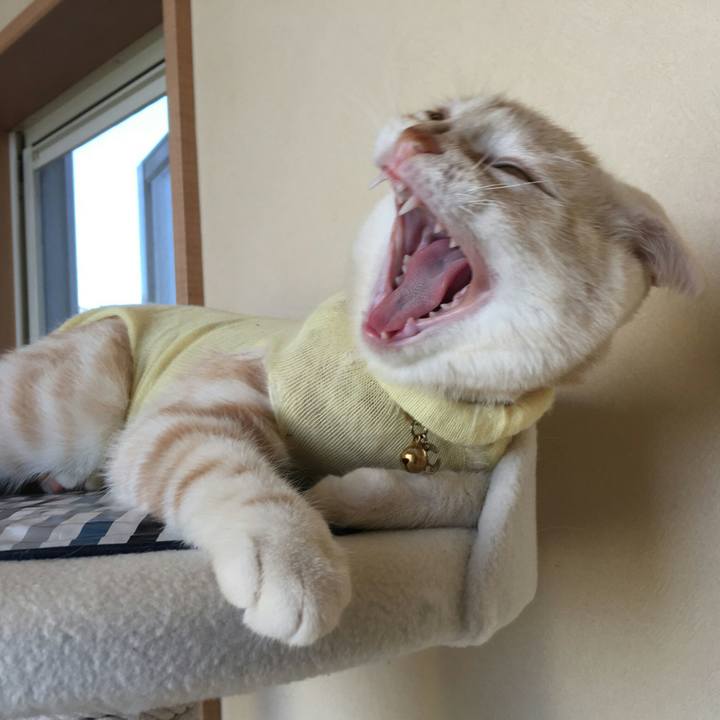 56d38e8e 3a56 410d a6da 051e7c87f957