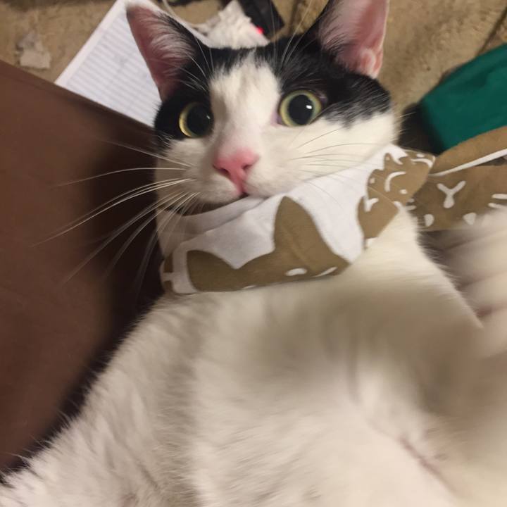 56d3eeec 5890 4b4d b0a2 d75b9ca3a9f7