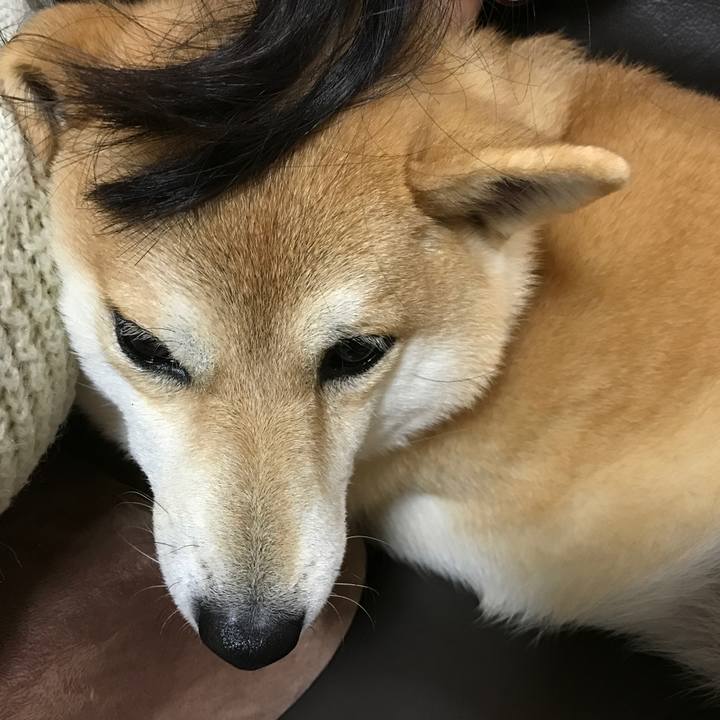 56d4dcdb 014b 4d09 b221 eb500e30235d