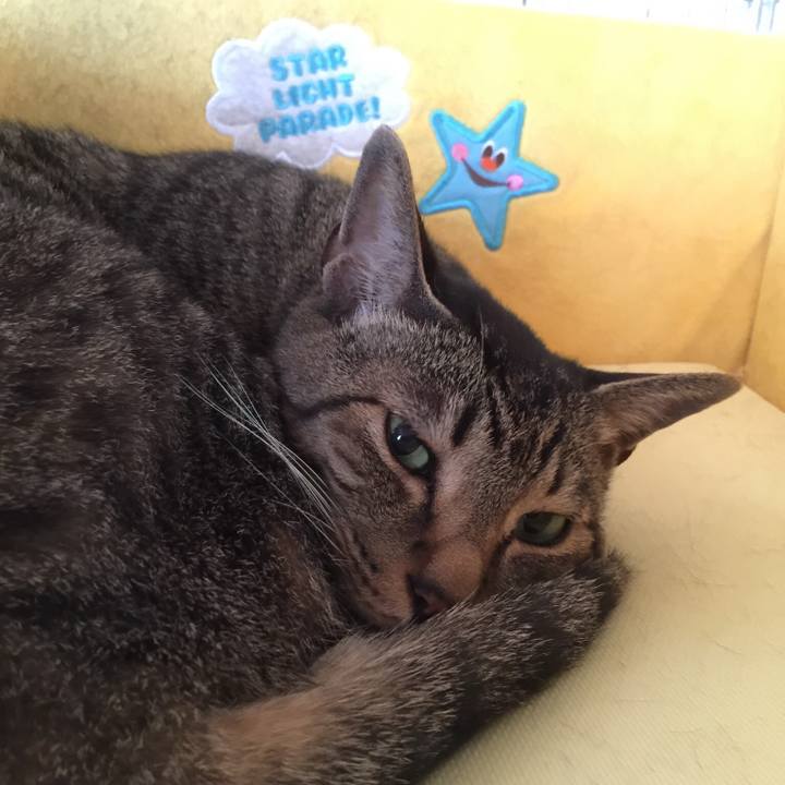 56d506d6 0ddb 402c 910c 0df597c045ba