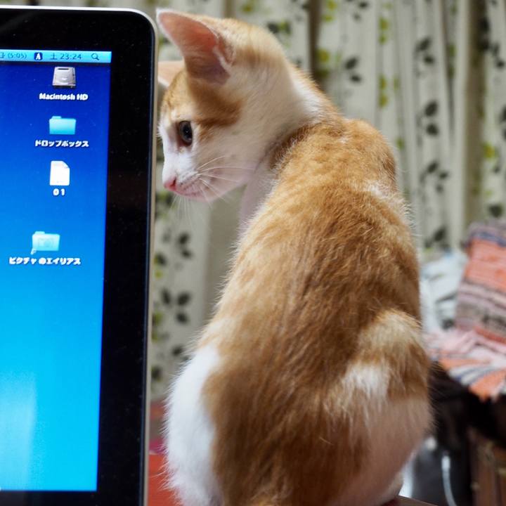 56d67b61 de1d 433d a96a 30a2d6ca164a