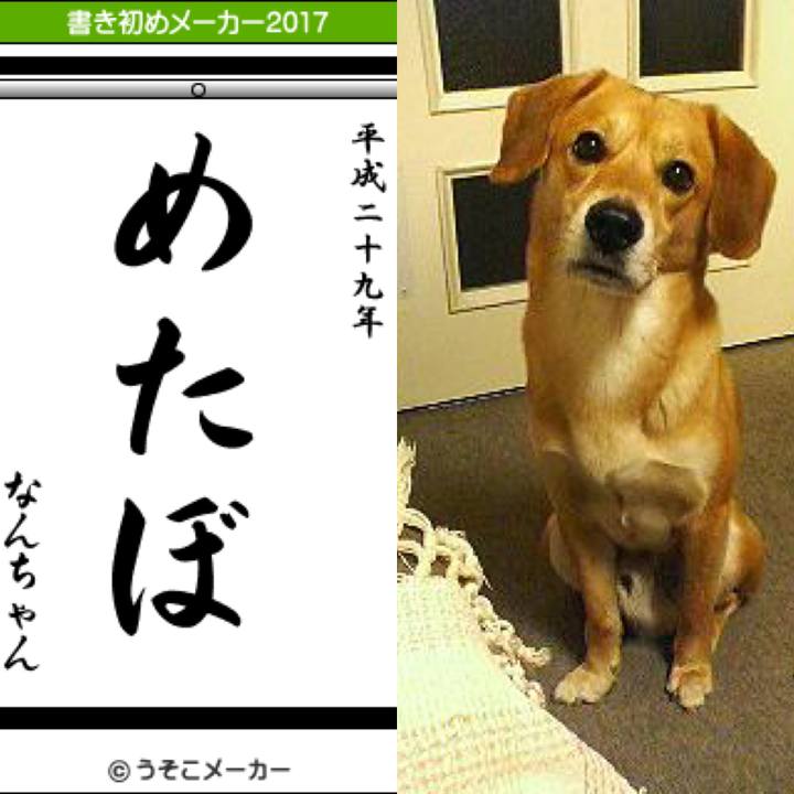 56d786e3 92d8 42df 8a82 a6bc6da71898