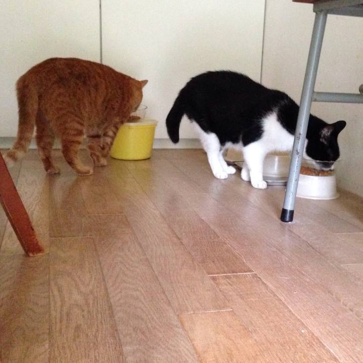 56d7904b 7dee 4f7e bc86 25925f403faa