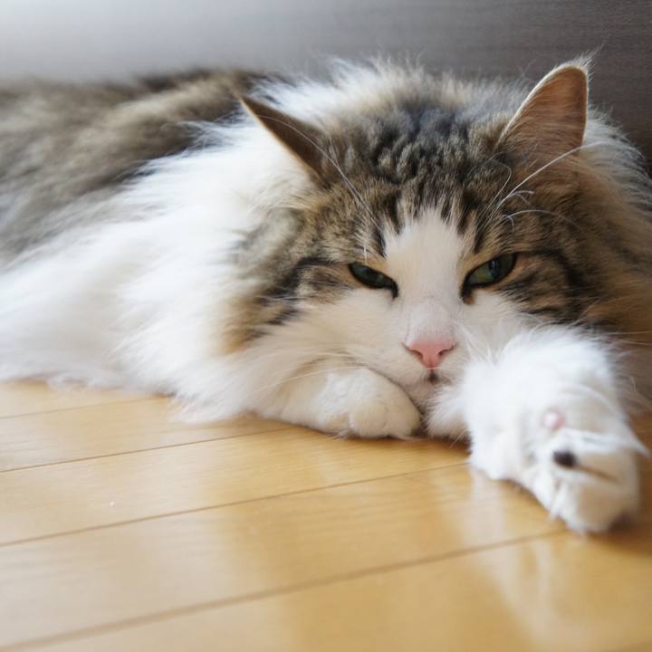 56d7bab1 7f6c 4273 8994 2584b88024f2