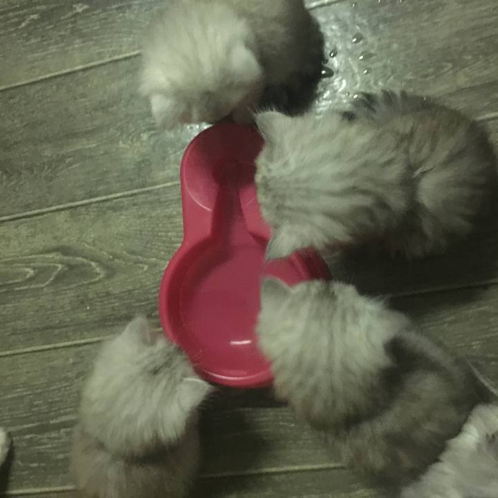 56d7c81a 4362 4b20 af07 a22b1d6e9cb6