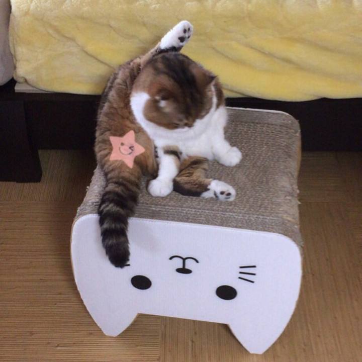 56d7fd8b eb5f 427c 9f02 b278076cdcf5