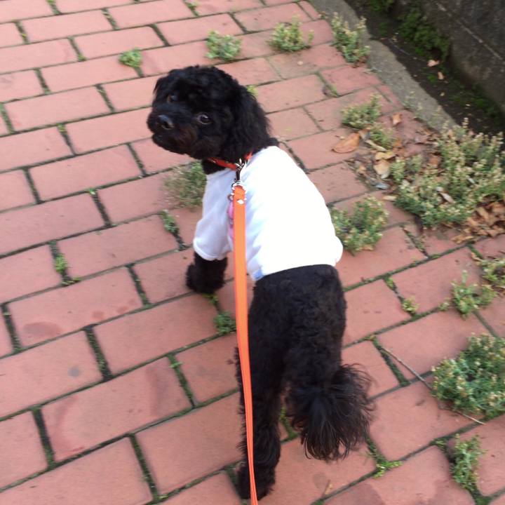 56d846ac 58b9 41c5 87cc 39145fc605b9