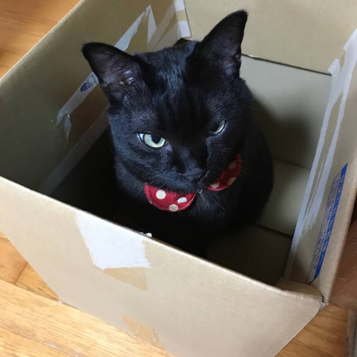 56d8a4df 7e23 4de3 8551 ecdf5270169e