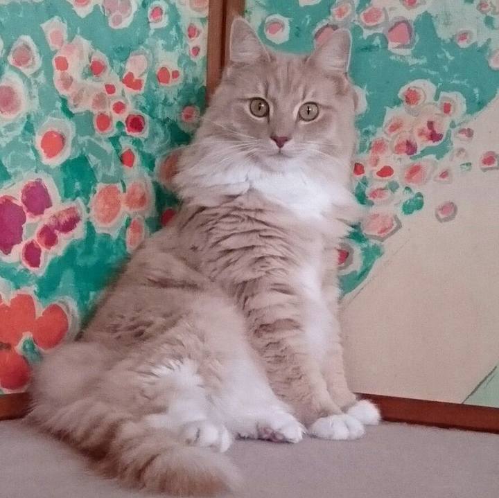 56d8bbfc a13b 4703 b7e3 b2bdd290e816