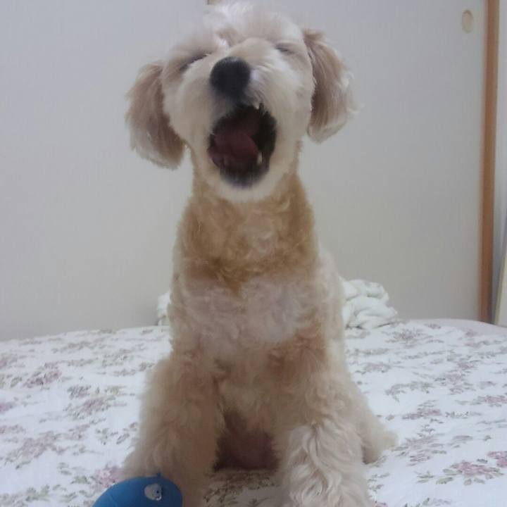 56d901a0 6f71 4b63 9b24 2acbf9bc87ea