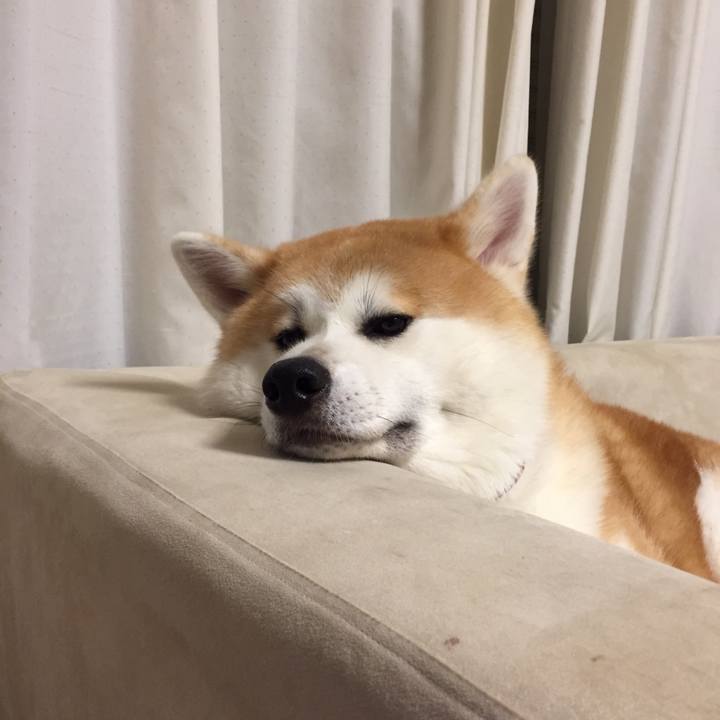 56d98bb7 1ef4 4c4f 8bcc 73b32dbac17c