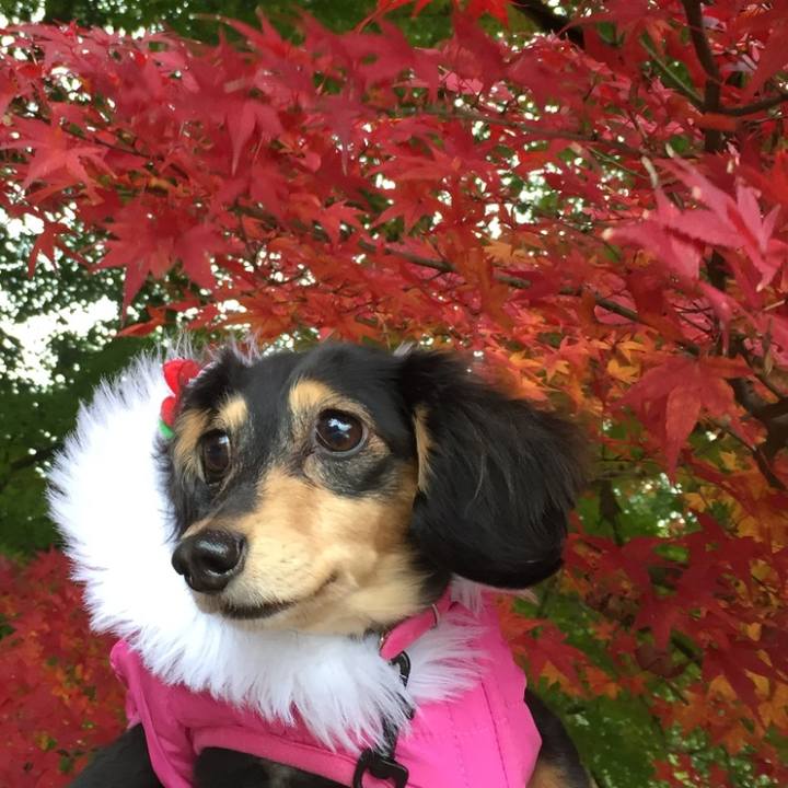 56d9f416 b98b 4f3d 9211 d137a0bfdac7