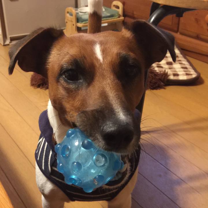 56da4809 9d58 493c ad65 c93288db2078