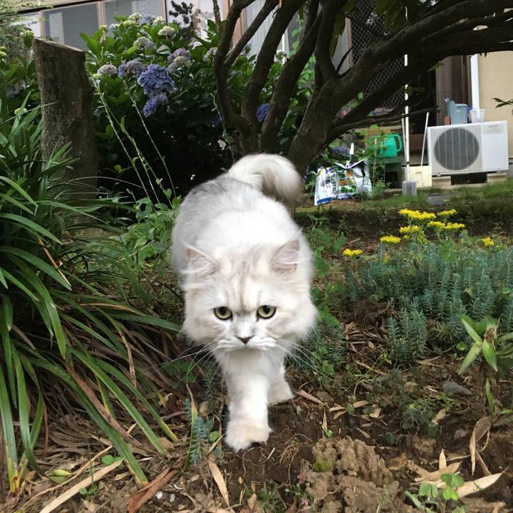 56da6f4d 0919 45c9 b5b4 97faa8bb2c58