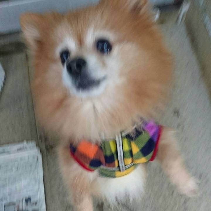 56daae34 f346 4b5d 94ef 8c370783fa6a