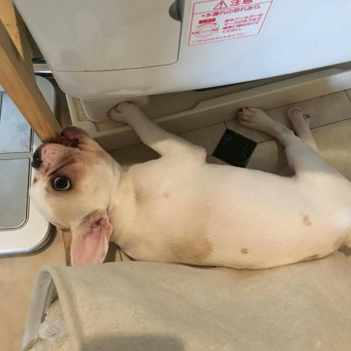 56db55f5 c2cb 497e 9122 a1c394b9da4d