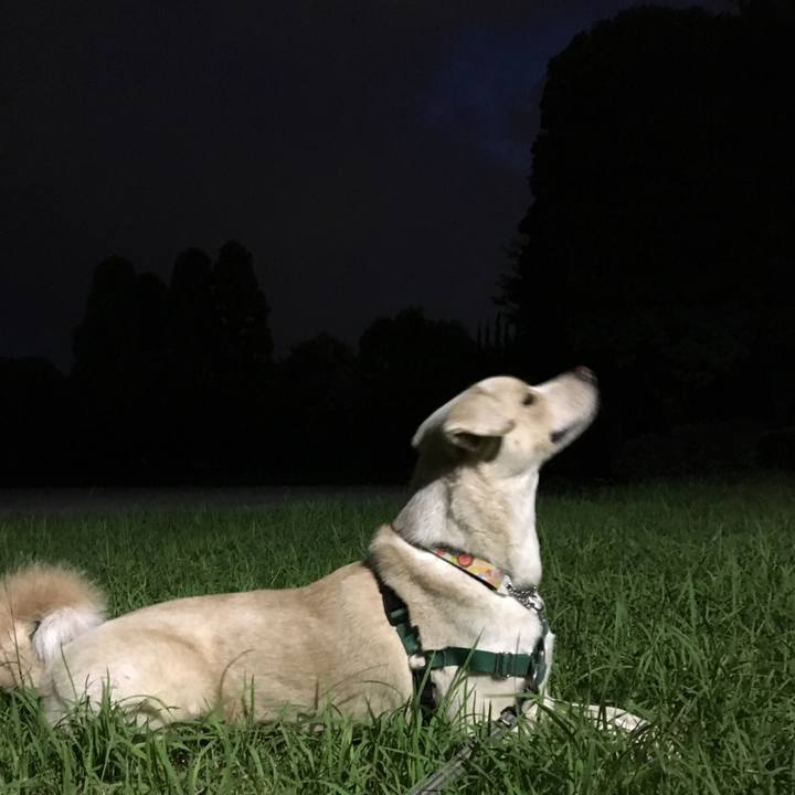 56db7dff 8e46 4539 af02 d8f8a42b12d7