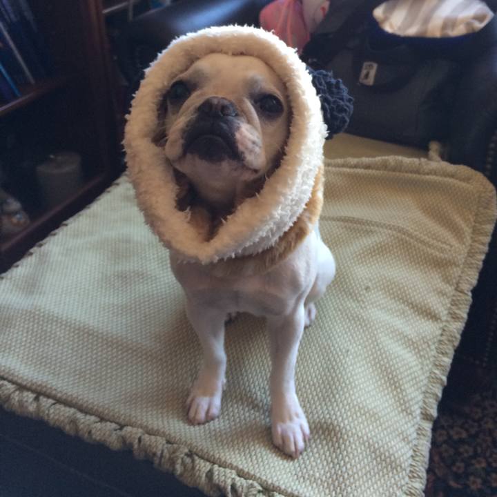 56dbe239 2fcf 4b97 8cc3 a22be909c9ec