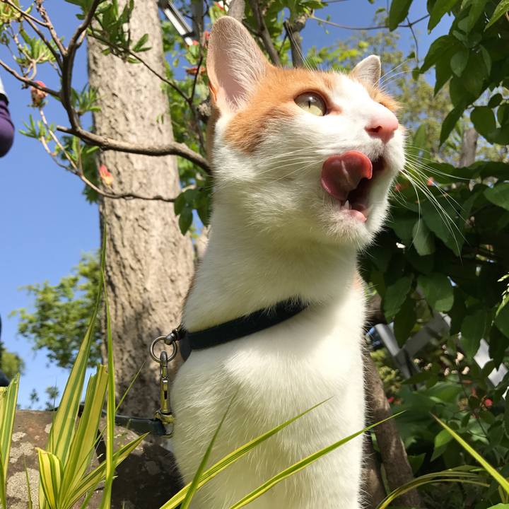 56dcc727 ffb8 4df1 8e80 0ab1affa0ed4