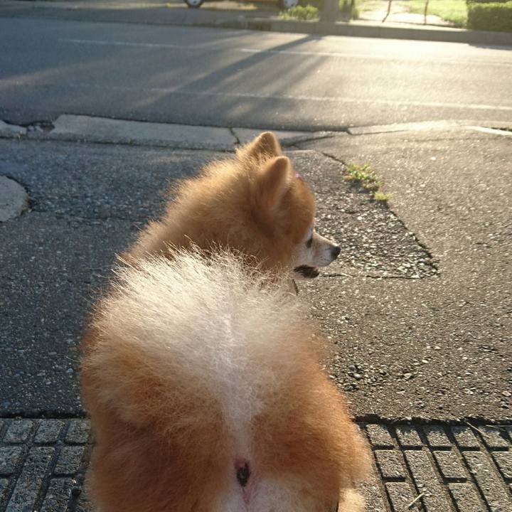 56dccff8 05f7 4915 a389 cc1a5b6afe41