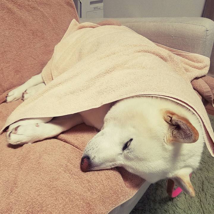 56dce705 babc 4ff5 a41a b41ece8faf41