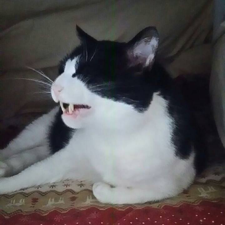 56dd69f4 d1de 4349 9c48 83f5603d45b1