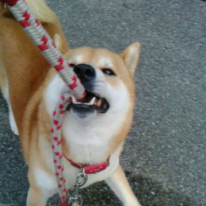 56ddd357 9d6a 464e a42c 031b384b2b4d