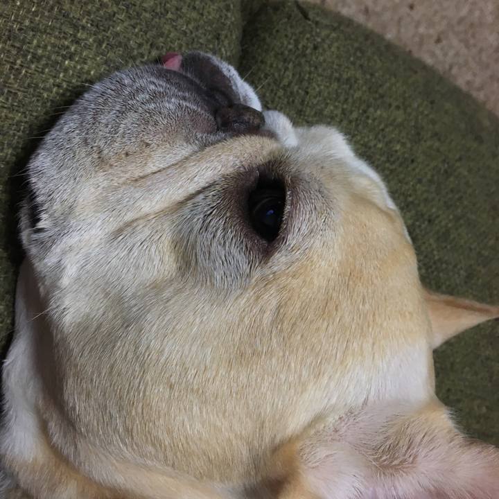 56df155e 3a42 4e59 bdf1 371a98afc510