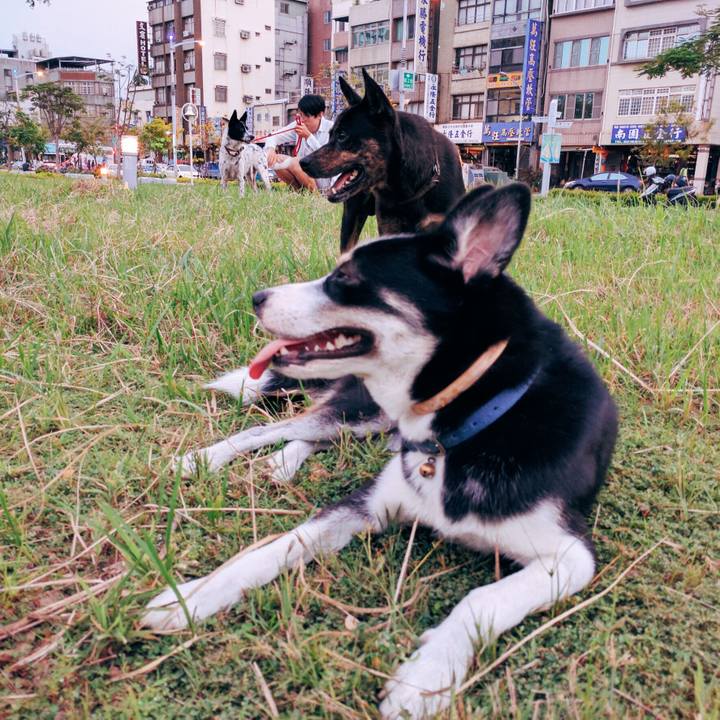 56df2b5c 35aa 468f 87dc 2a9c7f0194ce