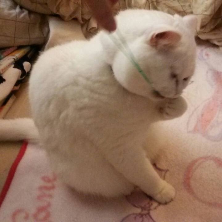 56df9295 063d 4e2f b3cf 4c0222f4a3cf