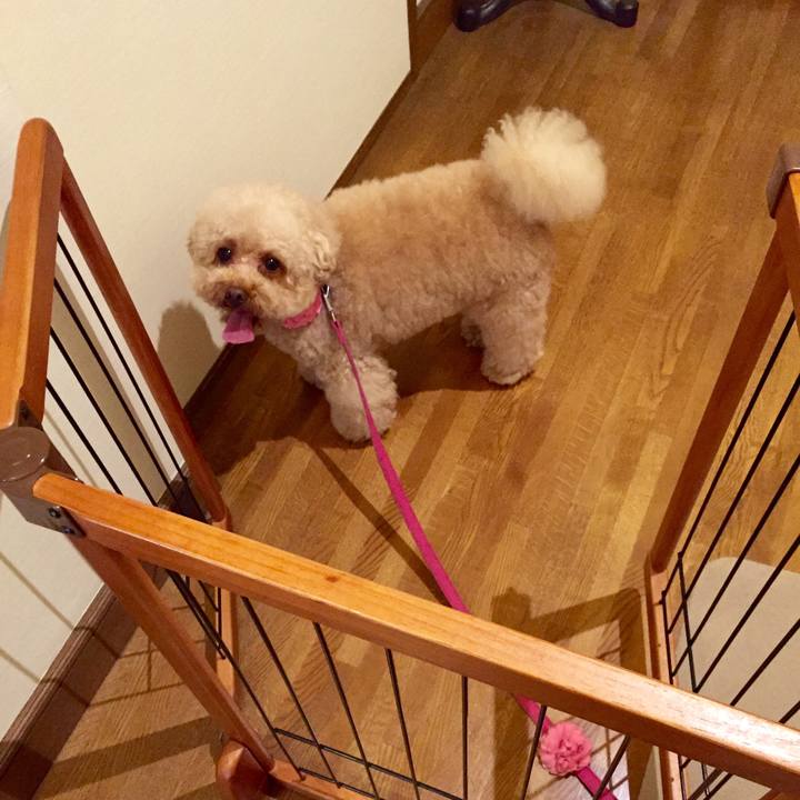 56dfab40 2d88 438a 8fb0 3055e4ddaf4b