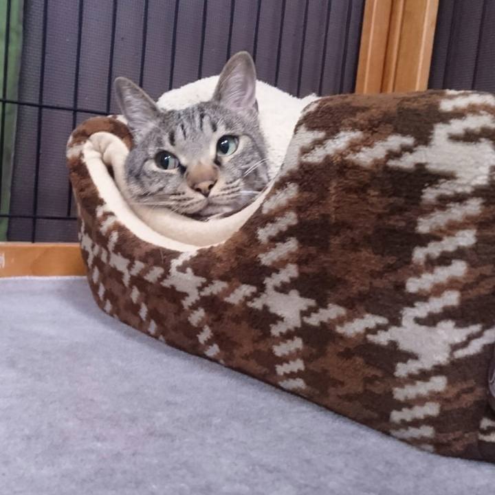 56e013f1 c6fa 4a73 ab67 6f7b121c8a5d