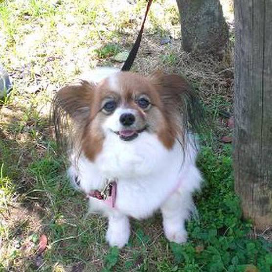 56e0b29a 49c7 4429 be05 eb258c8bb150