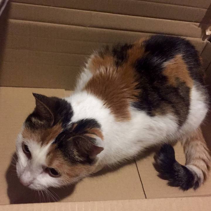 56e10553 6907 449e b593 d5650e8186b9