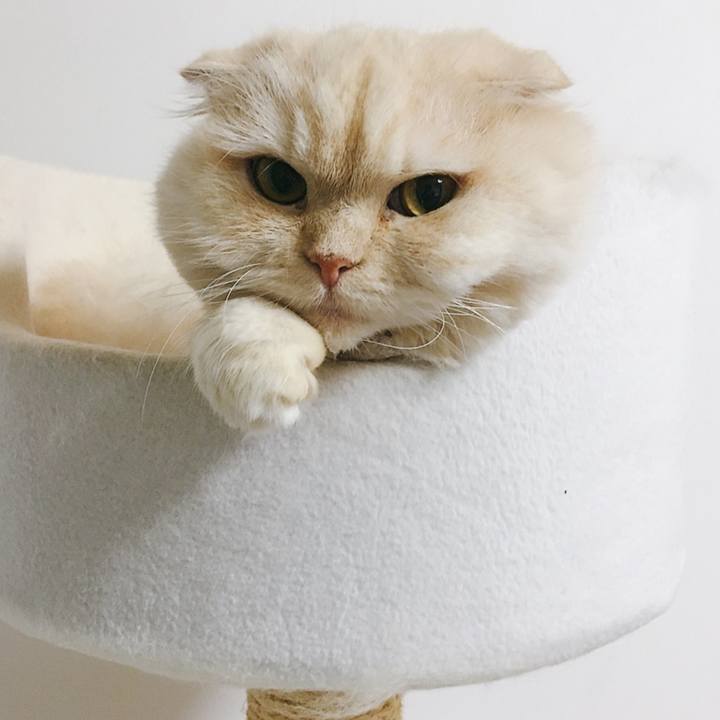 56e10c9f 0851 44b2 8636 b8685e8f2381