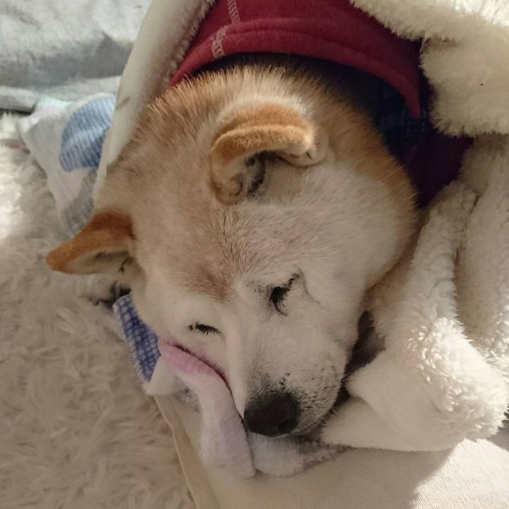 56e131c2 de48 4ef9 b3ff 205524bb57c1