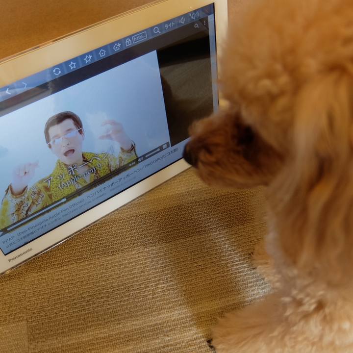 56e18993 ac0e 4994 a104 c422b8377fc4