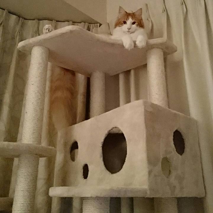 56e27544 853e 444f 8895 4148e110c23c