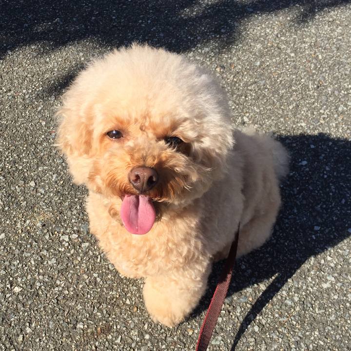 56e2b250 f1f7 408f a169 f1d2614c0e31