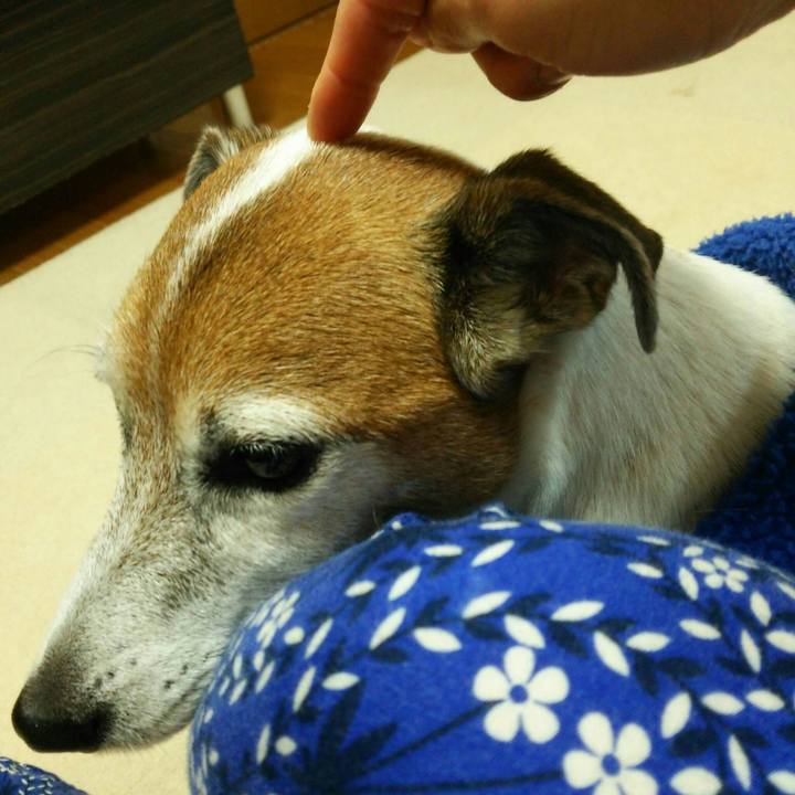 56e33d14 dda9 4ef8 a8c0 6b47e2397382