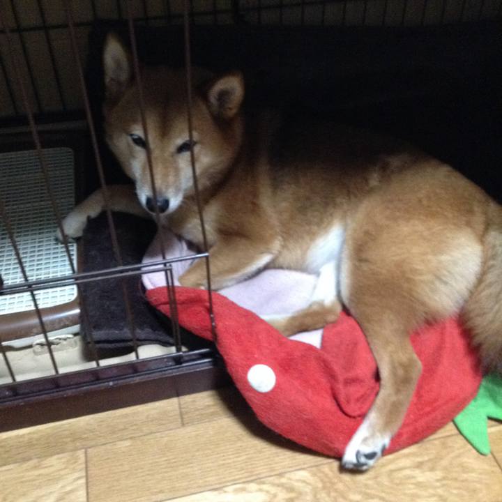 56e37722 a0b9 4bb5 911f 6265a834b479